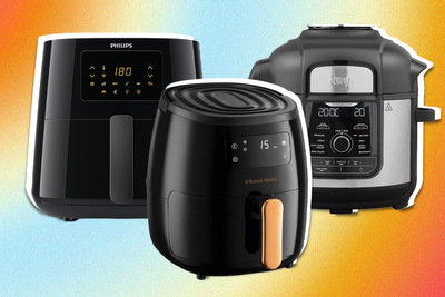 14 best air fryers to buy in 2024, tried and tested by our experts