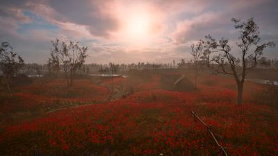 'S.T.A.L.K.E.R. 2': A Guide To The Terrifying Poppy Field Quest