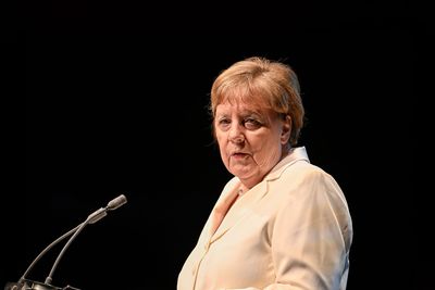 Merkel: Musk WH role a "huge concern"