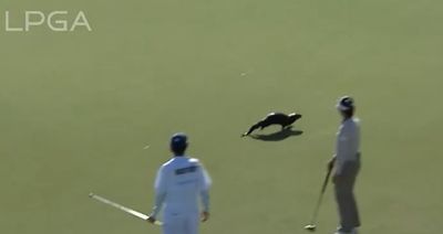 Watch: One way or the ‘otter,’ there’s animals galore at 2024 CME Group Tour Championship