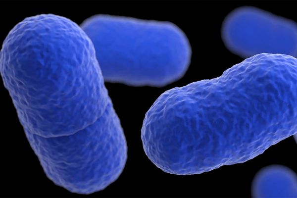 Listeria outbreak tied to Yu Shang Food leaves California infant dead and 10 people sick