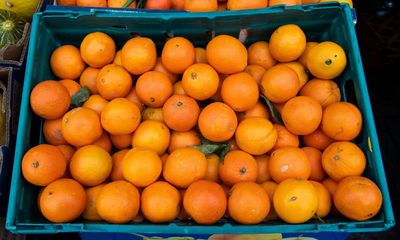 Spain’s floods force some UK sellers to buy oranges from southern hemisphere