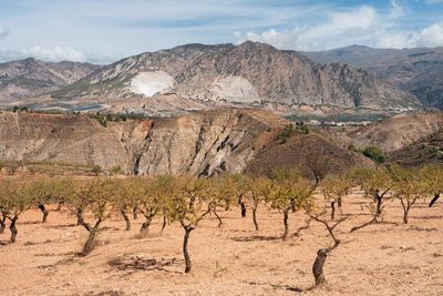 ‘It’s not drought - it’s looting’: the Spanish villages where people are forced to buy back their own drinking water