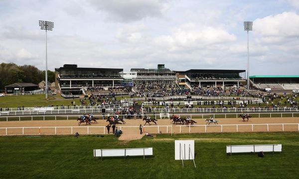 Talking Horses: Best Friday bets including one for the Breeders' Cup