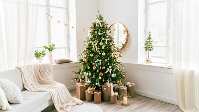 6 real Christmas tree mistakes experts want you to avoid this year – to keep your tree looking its best for longer