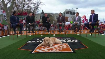 Kirk Herbstreit's Dog, Peter, Looks Right at Home on the Set of 'College GameDay'