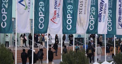 COP29 climate talks on 'verge of collapse' as delegates storm out of negotiations