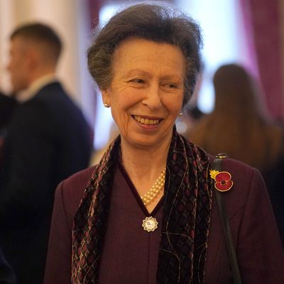 A Head Injury Didn't Stop Princess Anne From Being the Hardest Working Royal for the Fourth Straight Year