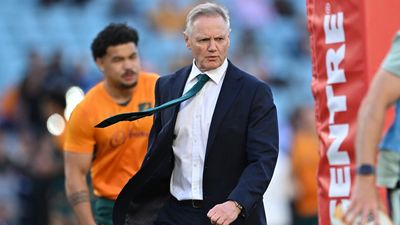 Wallabies' bounce helps Schmidt convince Campo and co