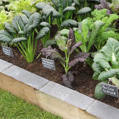 Should I cover raised beds in winter? Why so many experts agree that covering your soil could give your garden the boost it needs