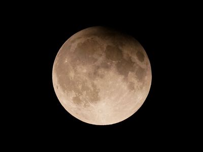 Earth bids farewell to ‘mini moon’ that’s been tagging along for months