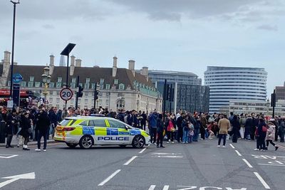 Man ‘stabbed’ on Westminster Bridge actually suffered cardiac arrest – police