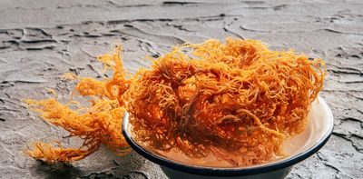 Is TikTok right? Are there health benefits to eating sea moss?