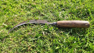 I'm a professional gardener, and a pruning sickle is a game-changing tool for cutting back perennials – and I rate my favorite five stars