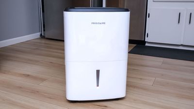 Frigidaire 50 Pint Dehumidifier review