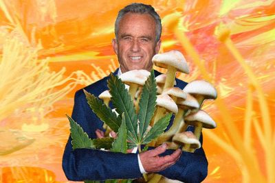 RFK Jr will cut prescription drugs and increase weed and psychedelics access