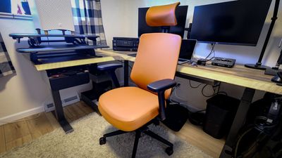 I just got this back-saving office chair for Black Friday and it's $75 off right now