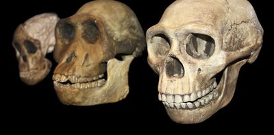 The whole story of human evolution – from ancient apes via Lucy to us – in one long read