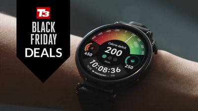 Huawei drops the price of its most popular smartwatches in time for Black Friday week