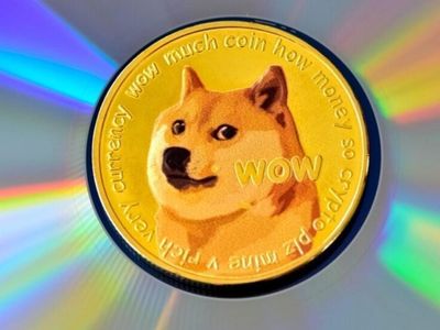 Dogecoin Is 'Harder Money' Than Bitcoin, Says Raoul Pal: Here's What The Numbers Say