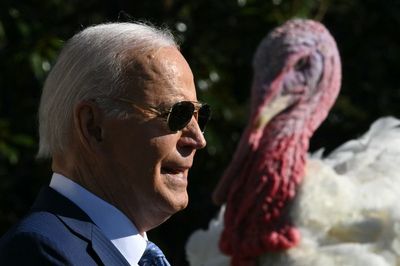 ‘Your prayers are going to be answered’: Biden carries out final Thanksgiving turkey pardon