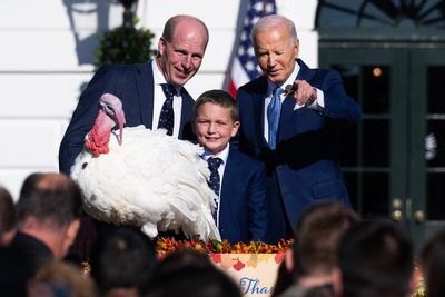 Peach and Blossom are freed as Biden pardons turkeys for last time - Roll Call