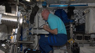 How do astronauts weigh themselves in space?