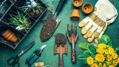 I bought the Tourbon tool belt because it looks good, but trust me, it is the most comfortable and useful gardening accessory I’ve ever used