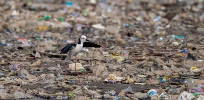 Plastic pollution: Why doing nothing will cost us far more than taking action