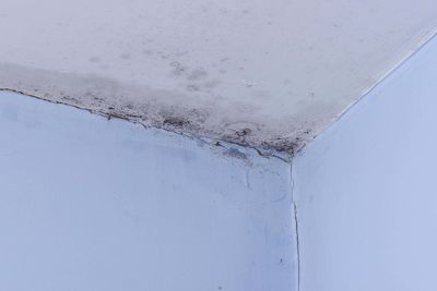 Expert guide to stopping damp and mould in your home this winter