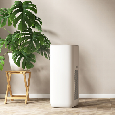 How long does a dehumidifier take to dry out a room? Experts warn these 4 things could be adding hours (or even days) to the job