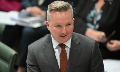 Albanese government announces review into post-2030 renewables strategy