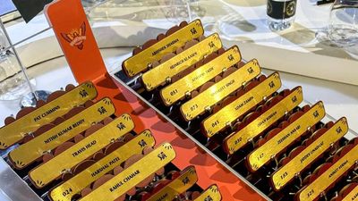 SRH squad, IPL 2025: Sunrisers Hyderabad final team and projected XI with full list of players and price tags after IPL mega auction