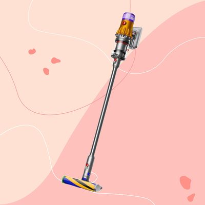 I tested the Dyson V12 Detect Slim Absolute - it’s ideal if you’re willing to trade a larger dust bin for a lighter weight