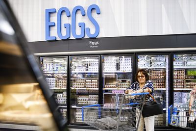 Egg prices tick up in US amid efforts to halt spread of bird flu