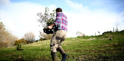 Most NZ dairy farmers put profitability first – but some are planting native trees anyway