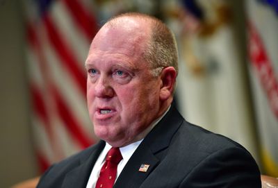 Trump's 'Border Czar' Slams Denver Mayor for Stance on Deportations: 'I'm Willing to Put Him in Jail'