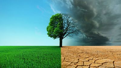 Is The Reason Behind Berkshire Hathaway’s $325 Billion Cash Position Finally Revealed After $2 Billion Hurricane Loss?