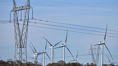 Close the climate credibility gap, conservationists say