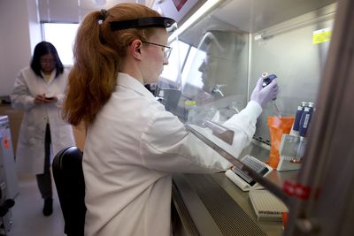 Mysterious bird flu cases worry experts
