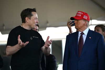 Trump Considers Naming 'AI Czar' With Musk's Help: Report