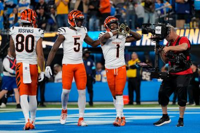 Where Bengals stand in playoff picture after Week 12