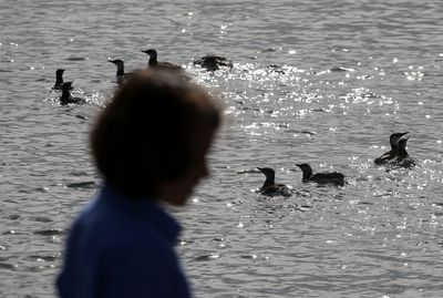 Bird Flu Scare Intensifies as California Child Becomes First US Kid to Develop Disease; Source Remains a Mystery