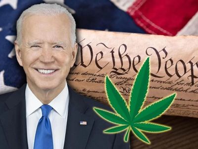 Elizabeth Warren, Bernie Sanders & 12 Congress Members To Biden: Issue Clemency And Pardons For Cannabis Prisoners