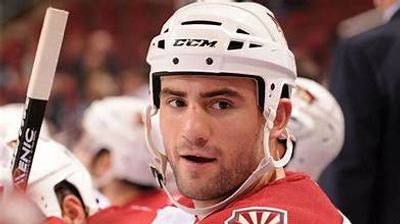 Ex-NHL Player Paul Bissonnette Victim Of Assault