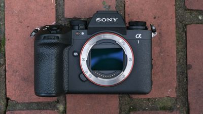 The Sony A1 II's sensor is almost four years old: here's why that doesn't matter