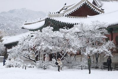 Seoul blanketed by heaviest November snowfall in more than a century