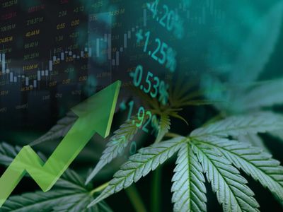 Cannabis Fintech POSaBIT Systems Q3 Revenue Plunges Amid Temporary Processing Disruptions, But Gross Profit Margins Surge