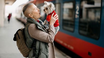 Run, don't walk - this Black Friday railcard sale is the best-kept secret that could save you hundreds!