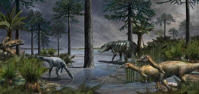 Dinosaur dung study reveals how giant beasts came to dominate planet